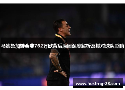 马德鲁加转会费762万欧背后原因深度解析及其对球队影响