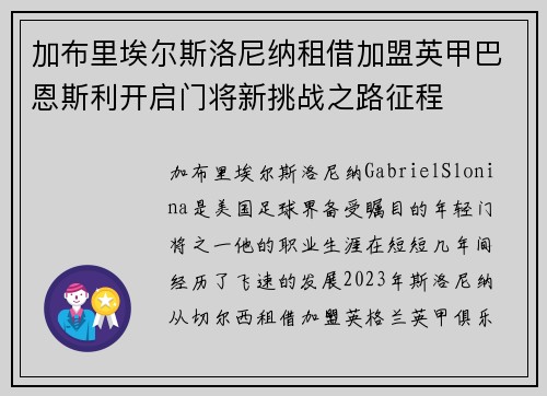 加布里埃尔斯洛尼纳租借加盟英甲巴恩斯利开启门将新挑战之路征程
